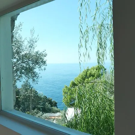 Soleil Vila *